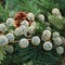 17-Inch Navy Blue Beaded Berry Spray - Set of 12, 25 Realistic Berries, Ideal for Christmas Wreaths & Holiday Decor - Festive Seasonal Accents, Floral Home by Artificial Flowers